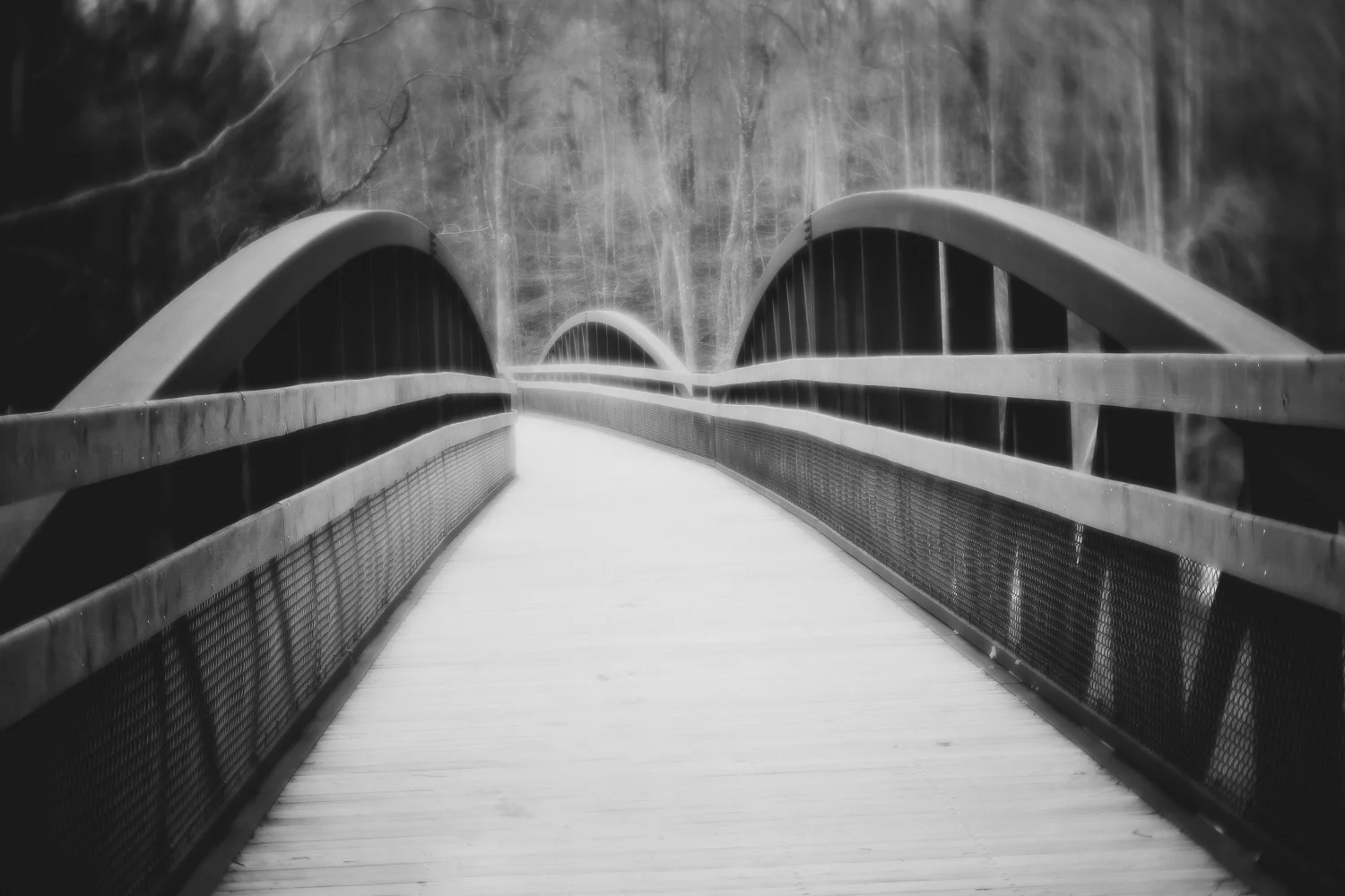 Ashlee Krammes | Shooting with Lensbaby Velvet 85