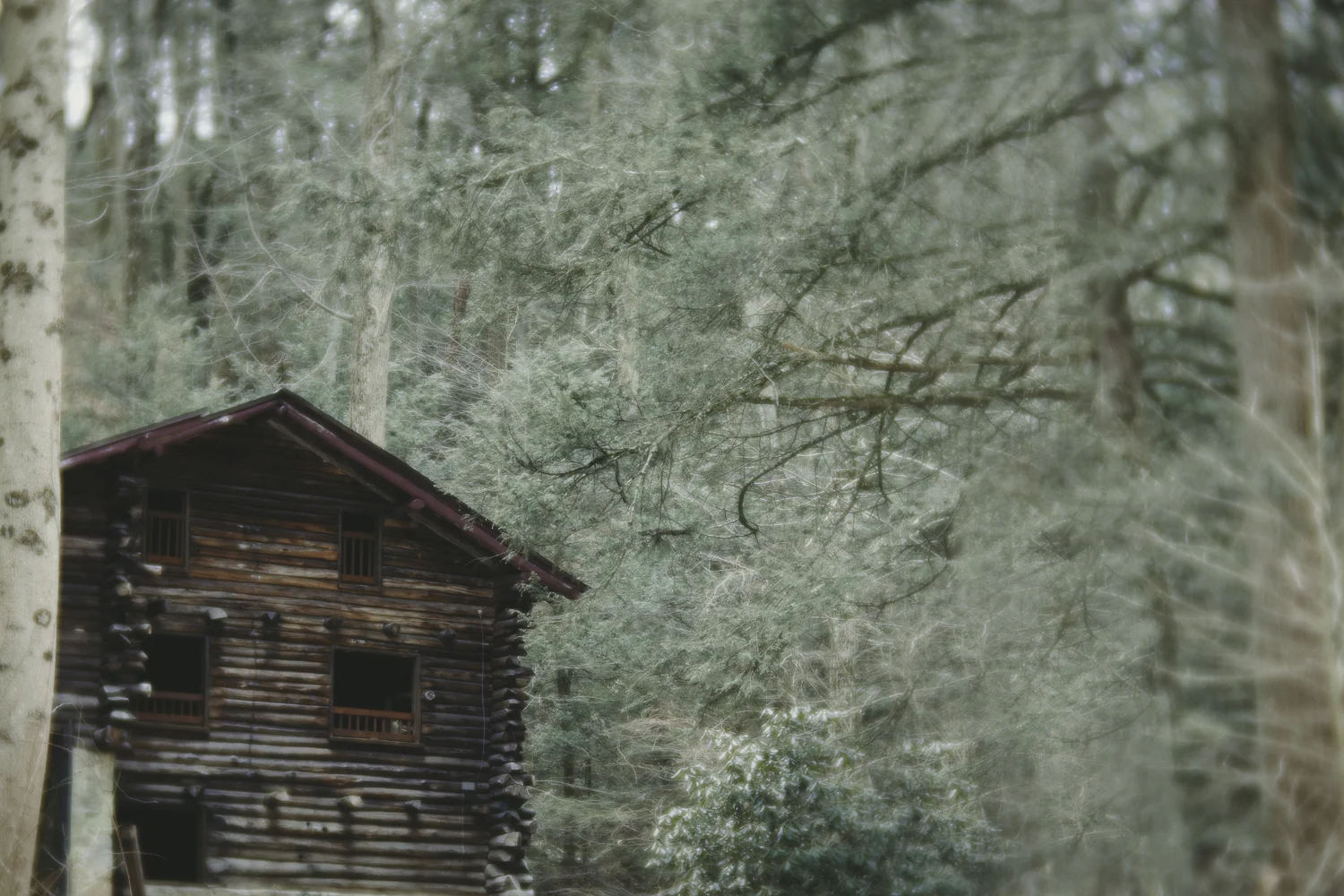 Ashlee Krammes | Shooting with Lensbaby Velvet 85