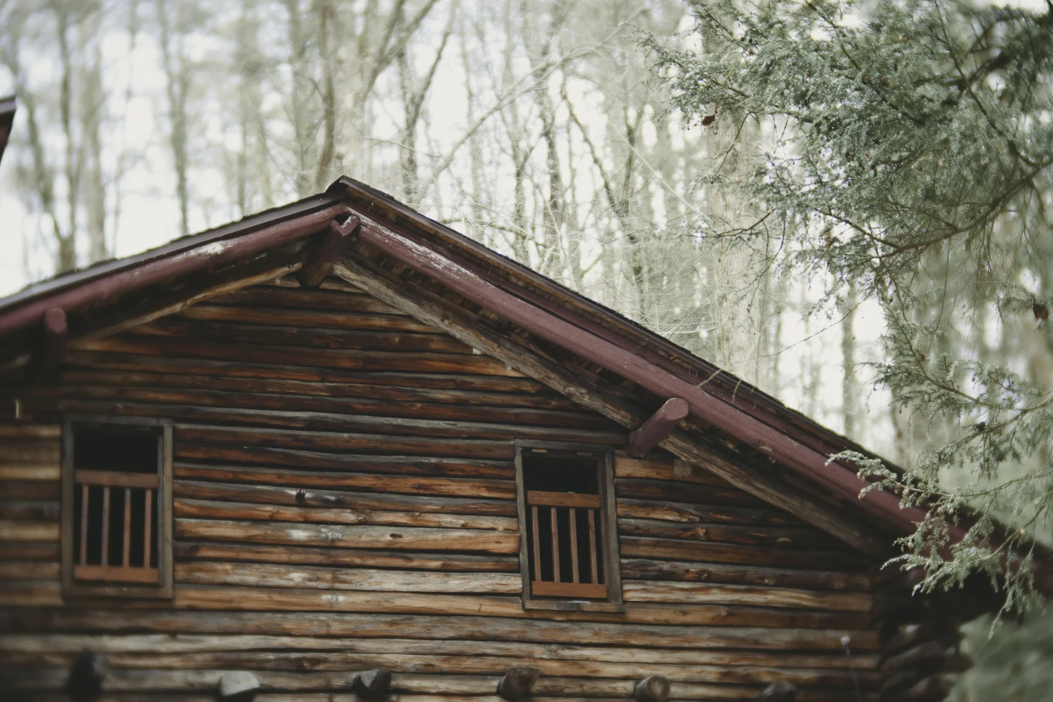 Ashlee Krammes | Shooting with Lensbaby Velvet 85