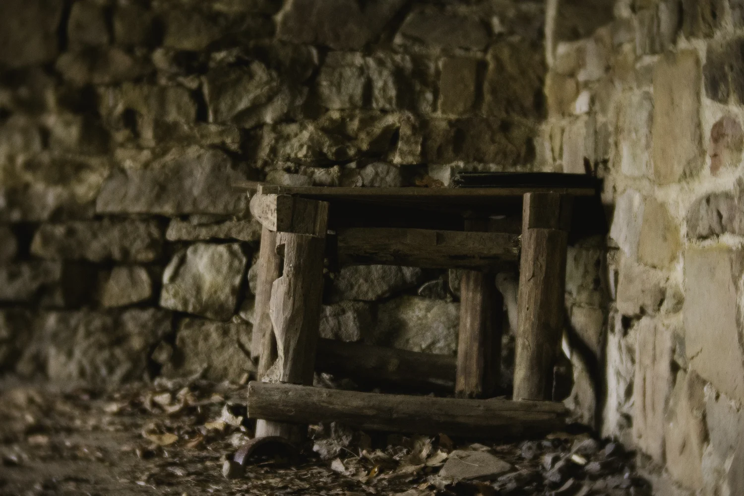 Ashlee Krammes | Shooting with Lensbaby Velvet 85