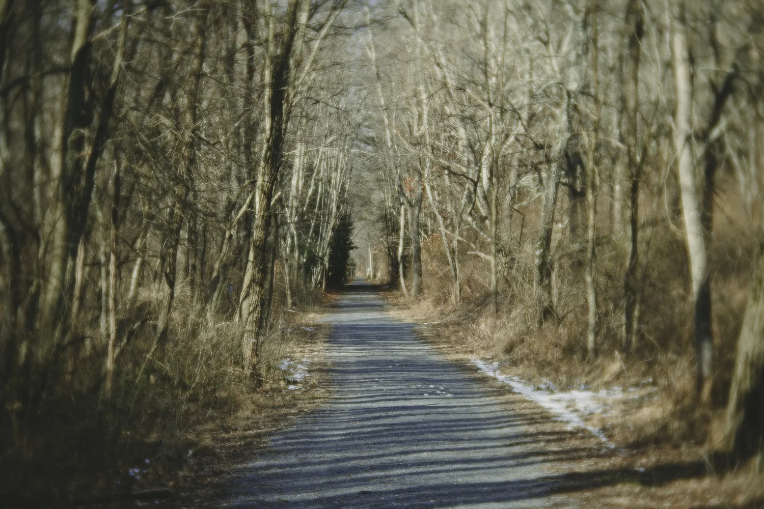 Ashlee Krammes | Shooting with Lensbaby Velvet 85