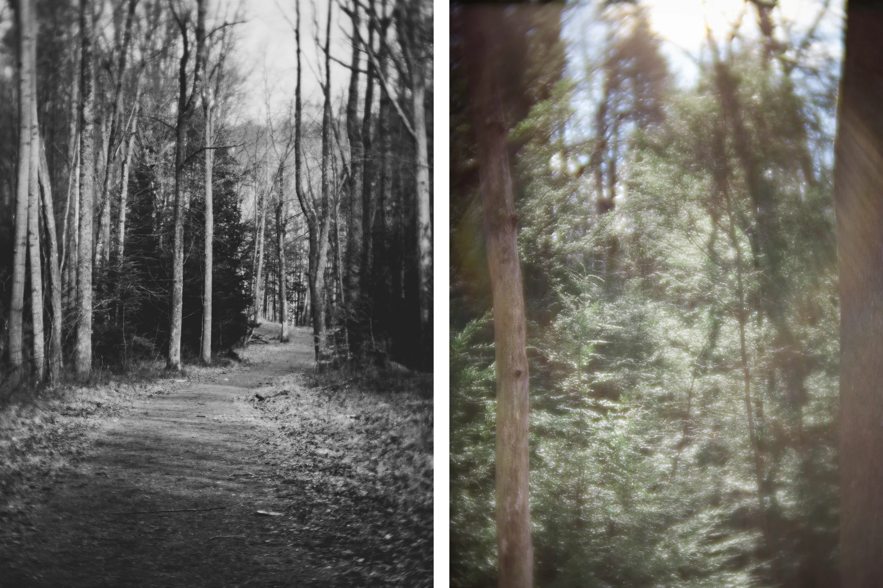 Ashlee Krammes | Shooting with Lensbaby Velvet 85