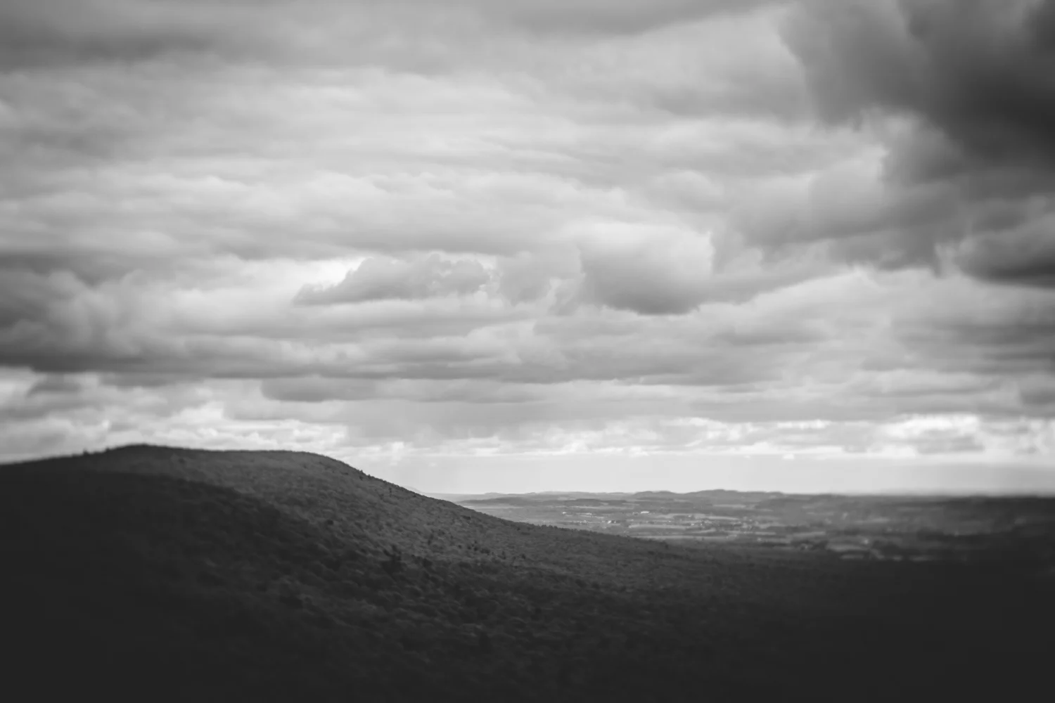 Velvet85-May 03, 2017-4.jpg
