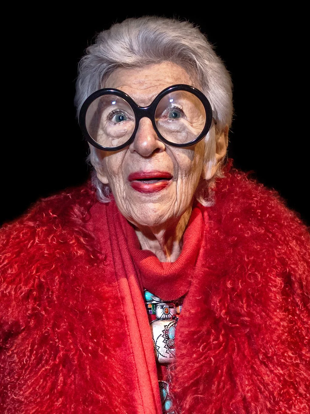 Web-Iris_Apfel_Ralph_Rucci_FW13_OMD_17mm-LR-Crop.jpg