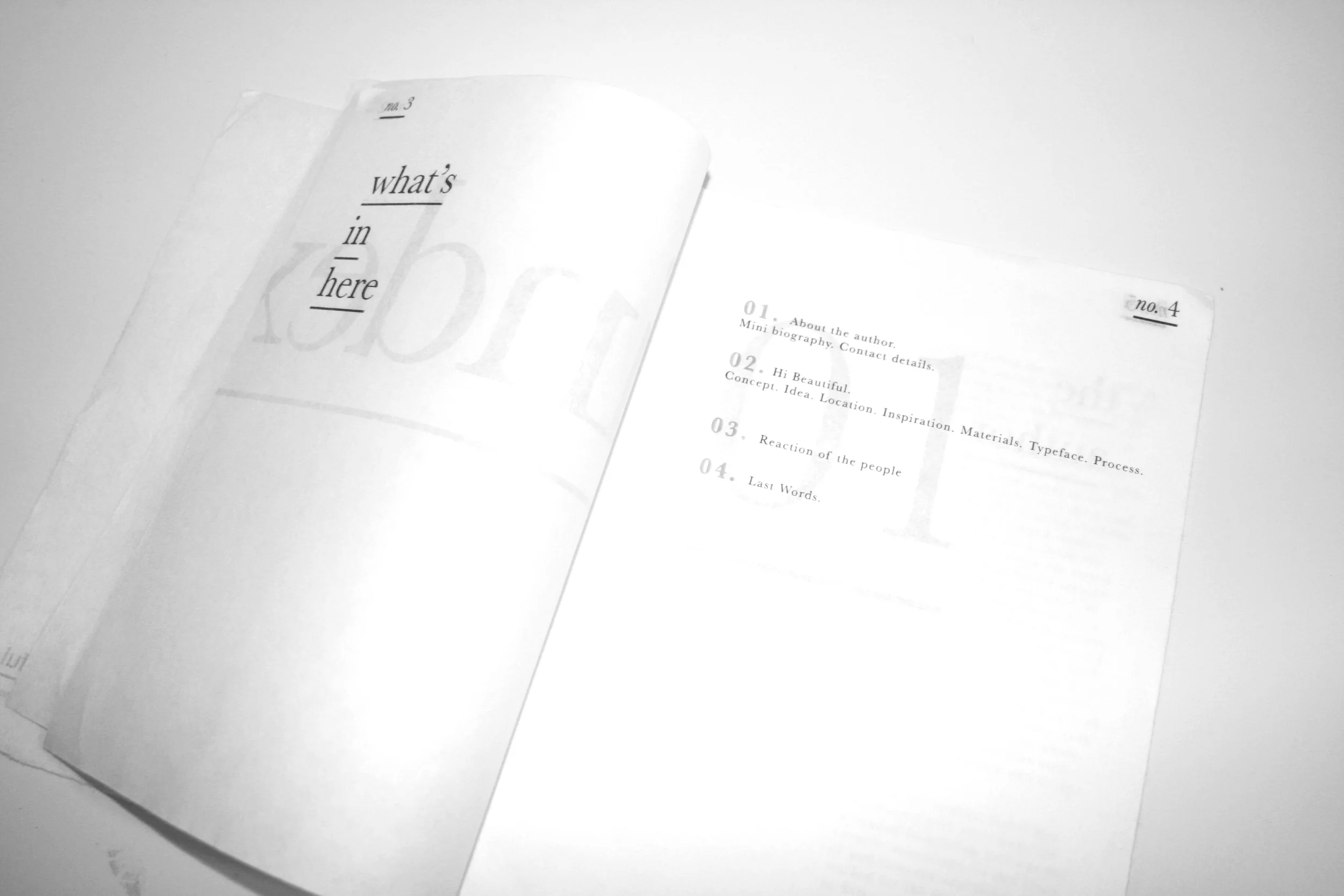 IMG_4565 copy.jpg