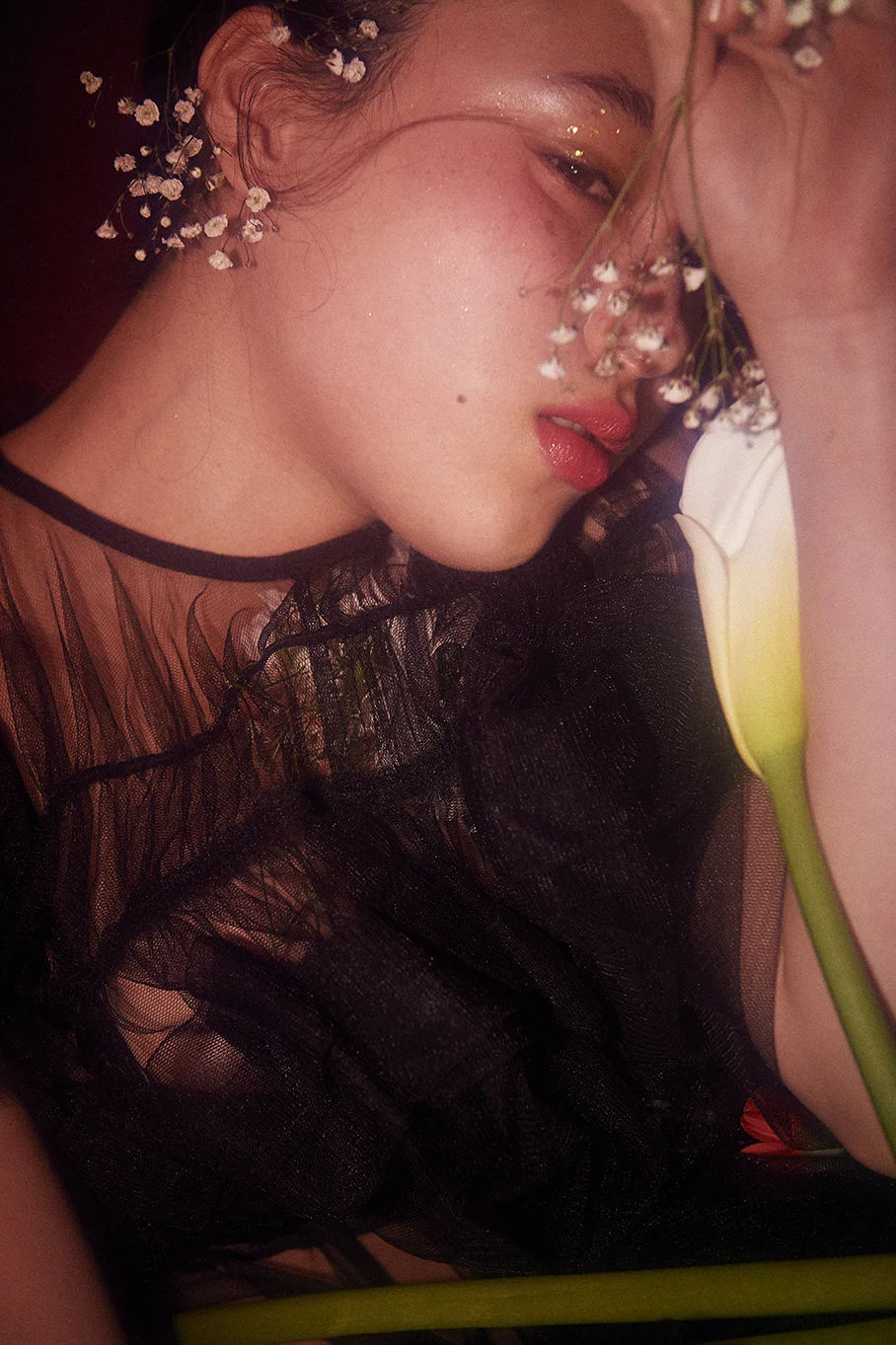 kyokomunakata003w.jpg