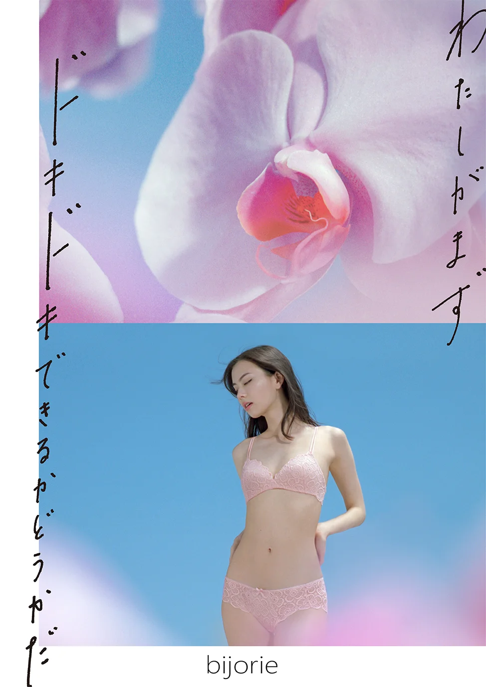 bj2018ss_KV-02w.jpg