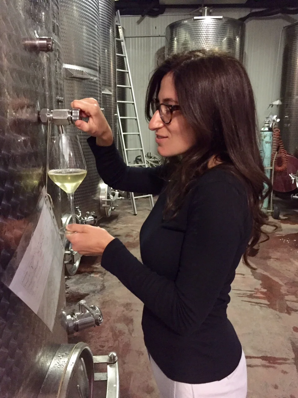 Portrait Courtesy of Giannoni Selections
