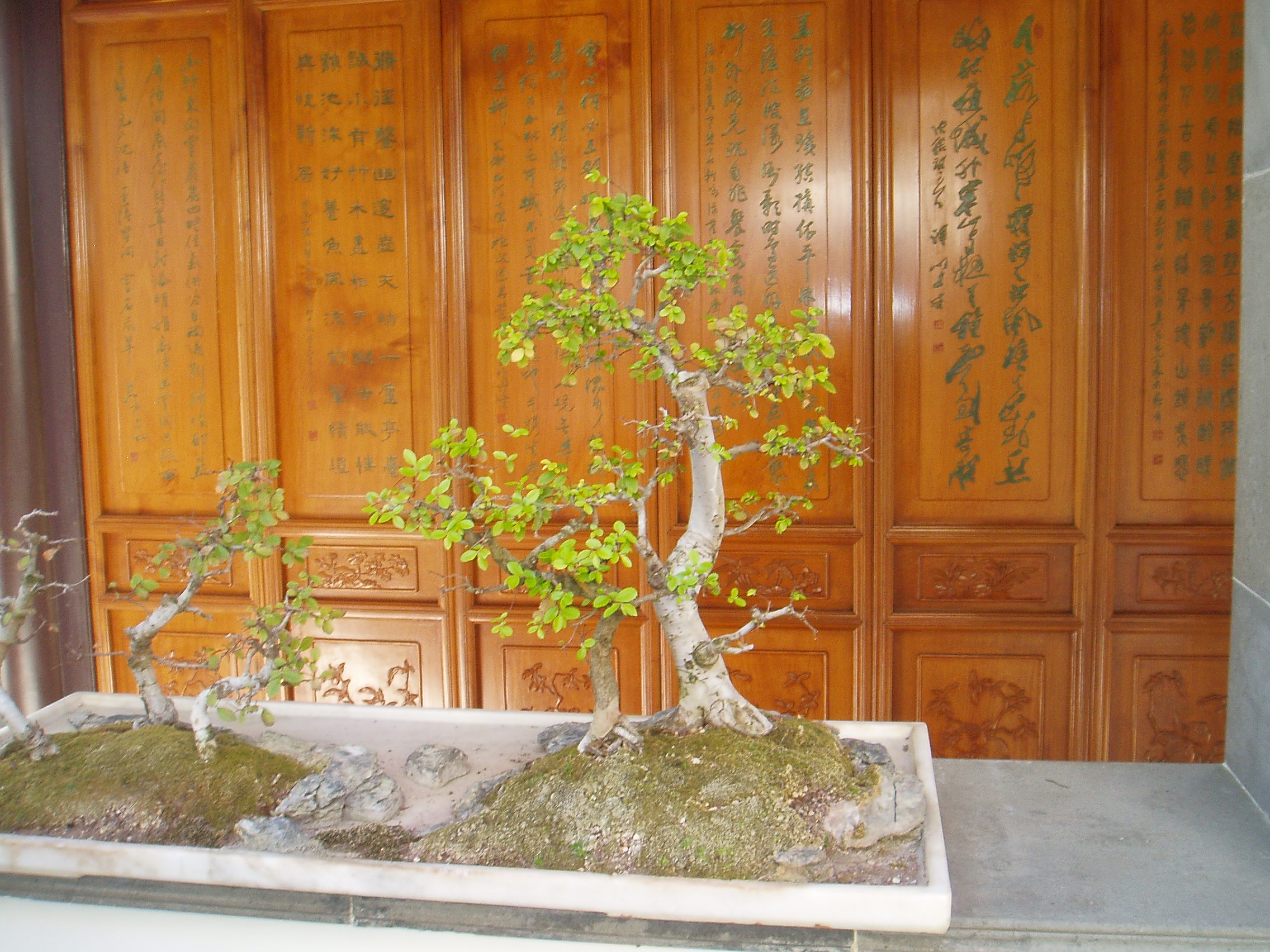 oriental atmospherics.jpg