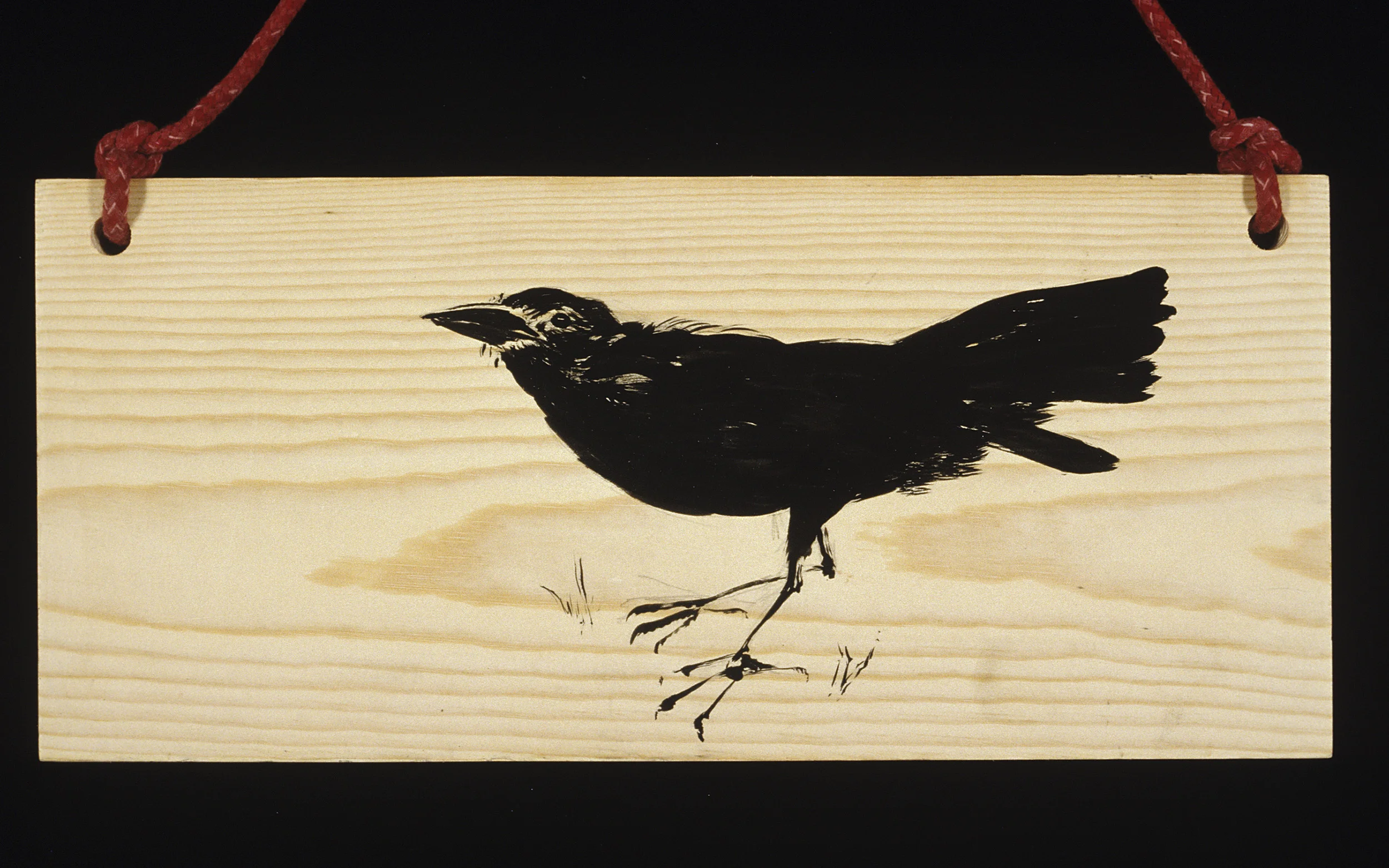 Blackbird