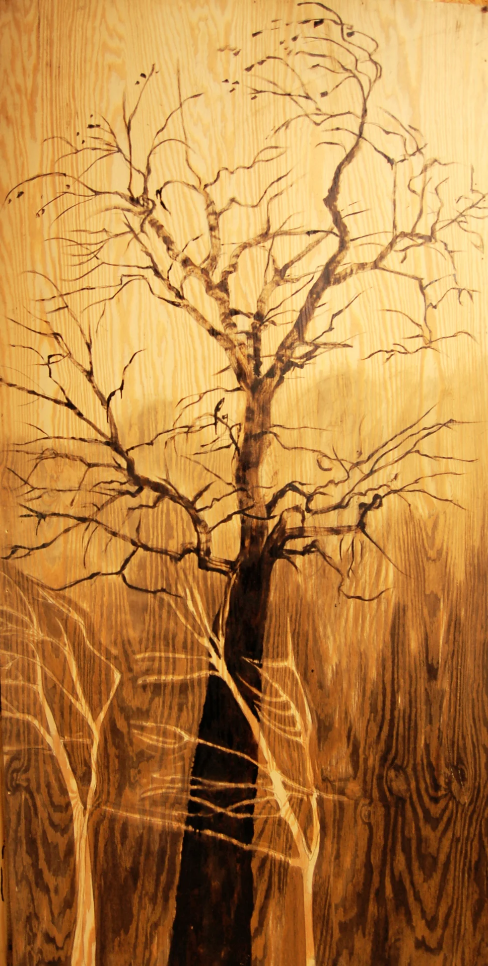 Trees in Season: Cottonwood and saplings