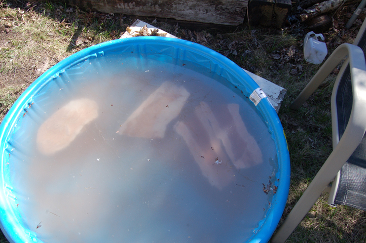 Goat leg molds soaking