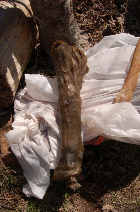 The resulting hollow leg . . .