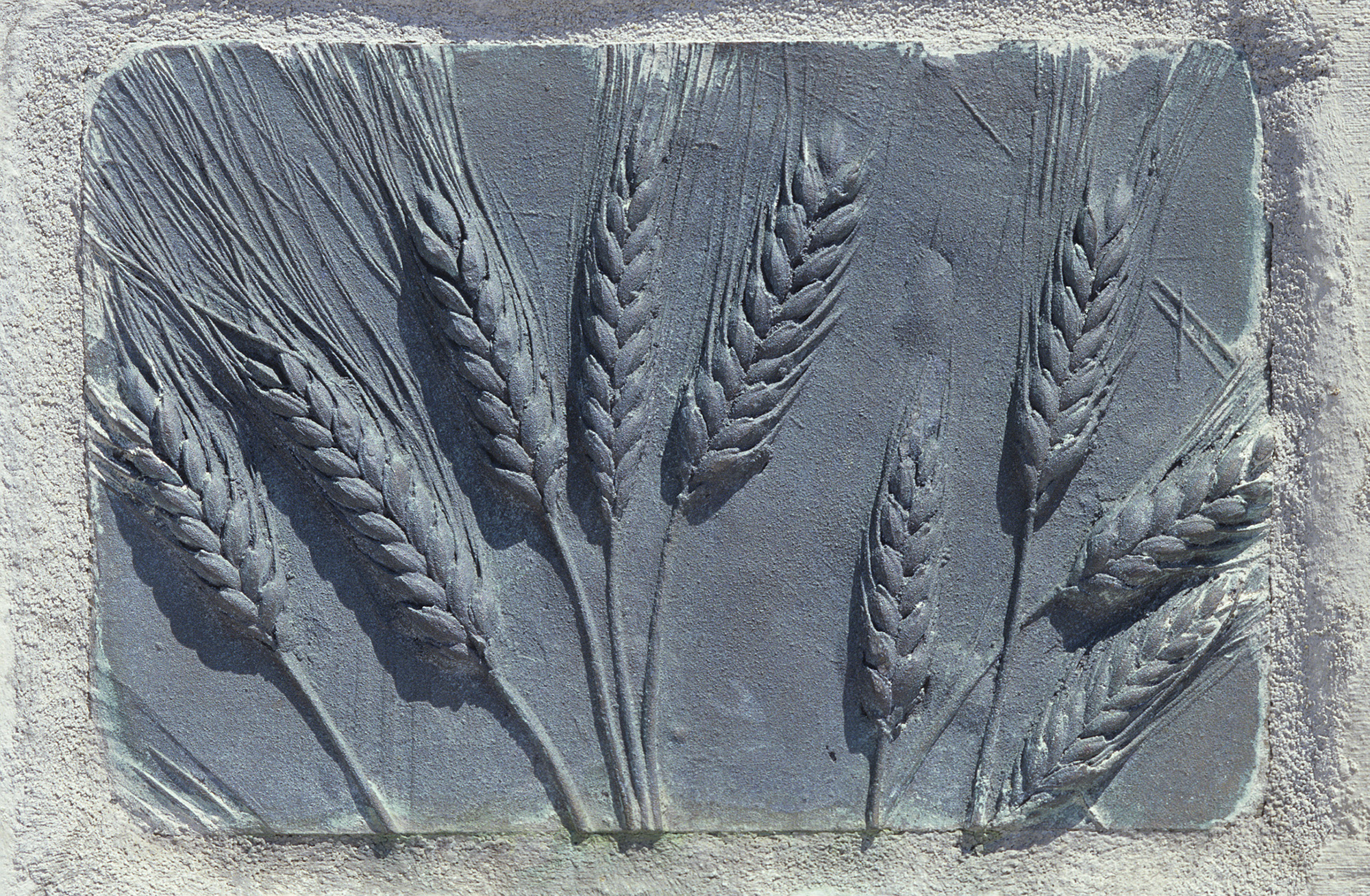 Columbia Park: Wheat Bench