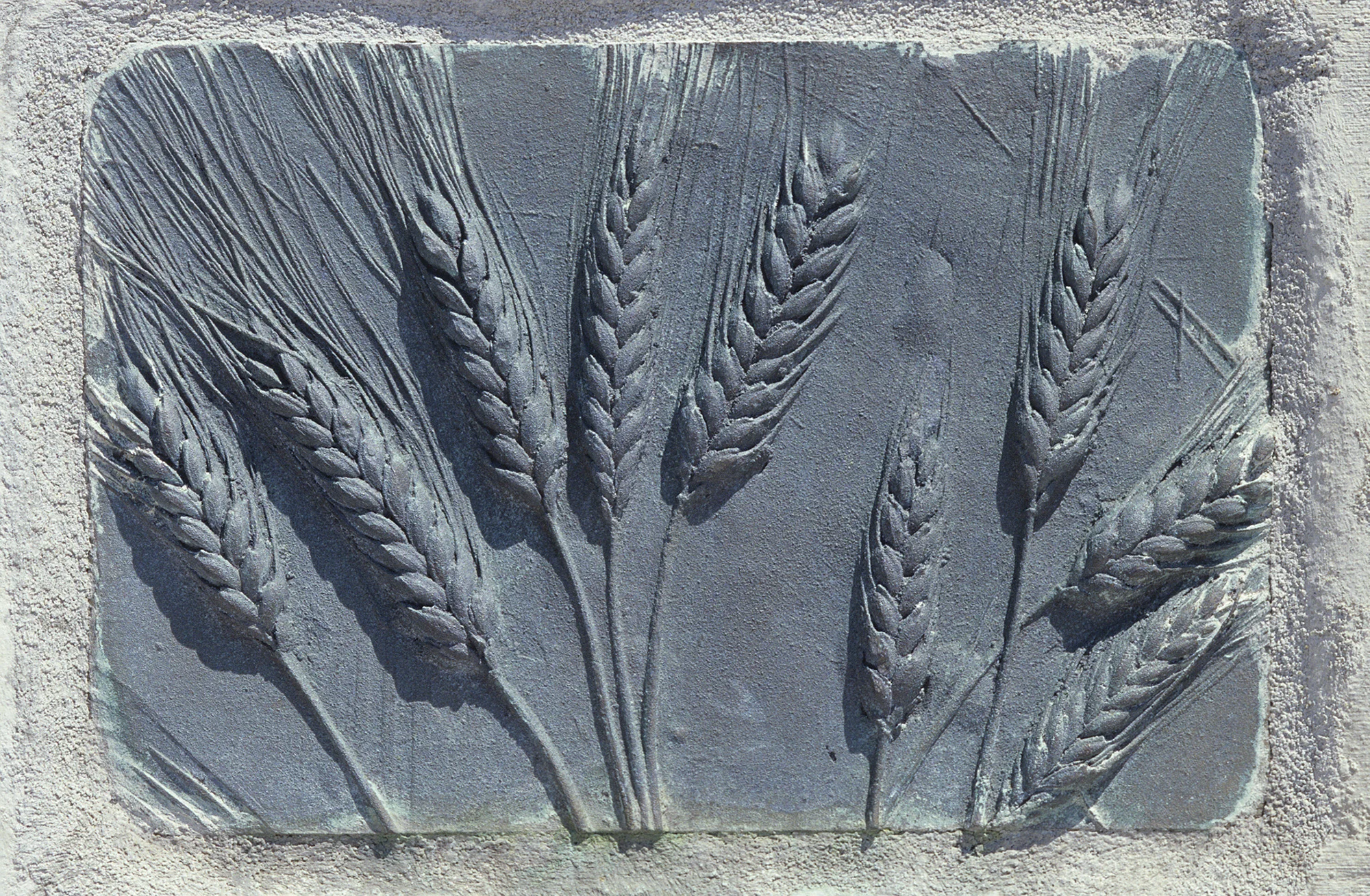Columbia Park: Wheat Bench