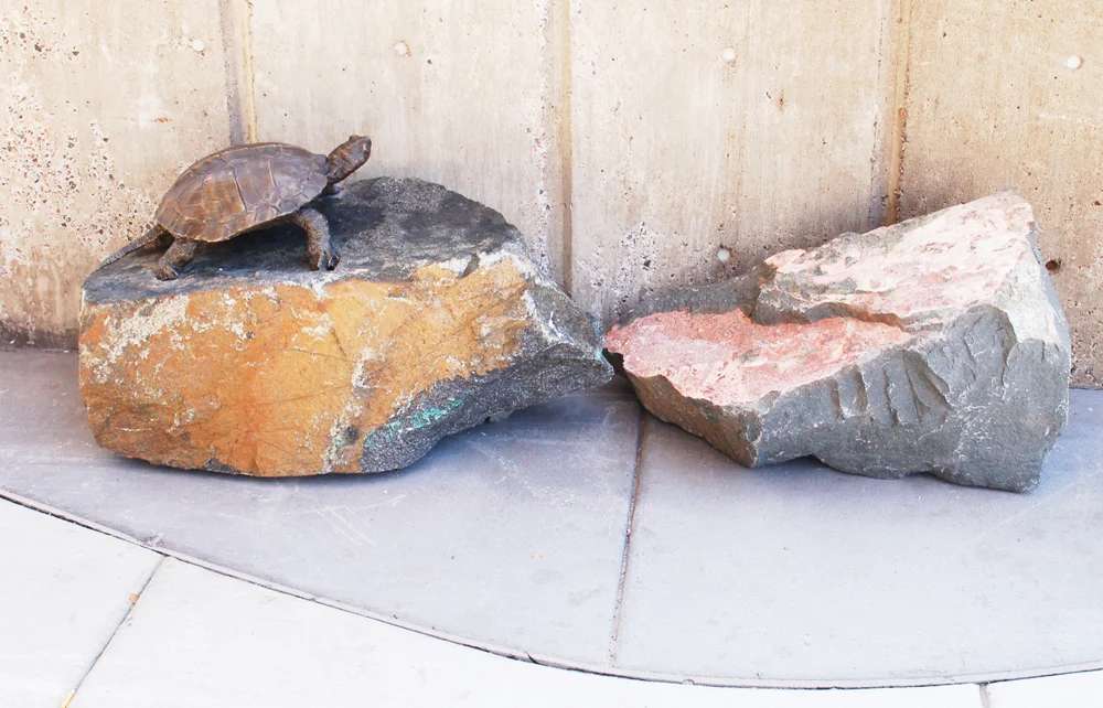 Estuary Plaza, Turtle Rocks