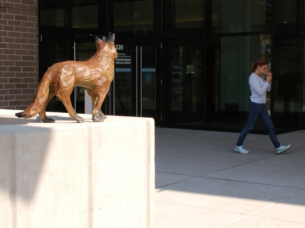 Estuary Plaza, Fox