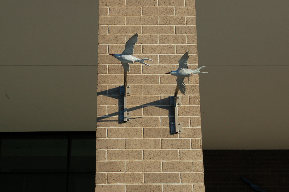 Estuary Plaza, Terns, detail