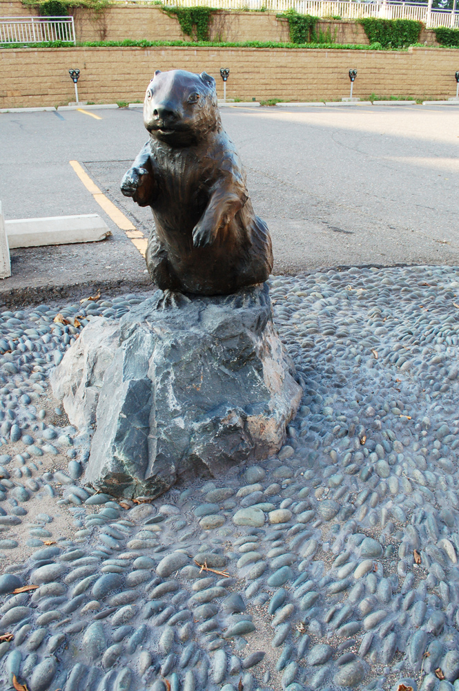 Estuary Plaza, Beaver in Pond