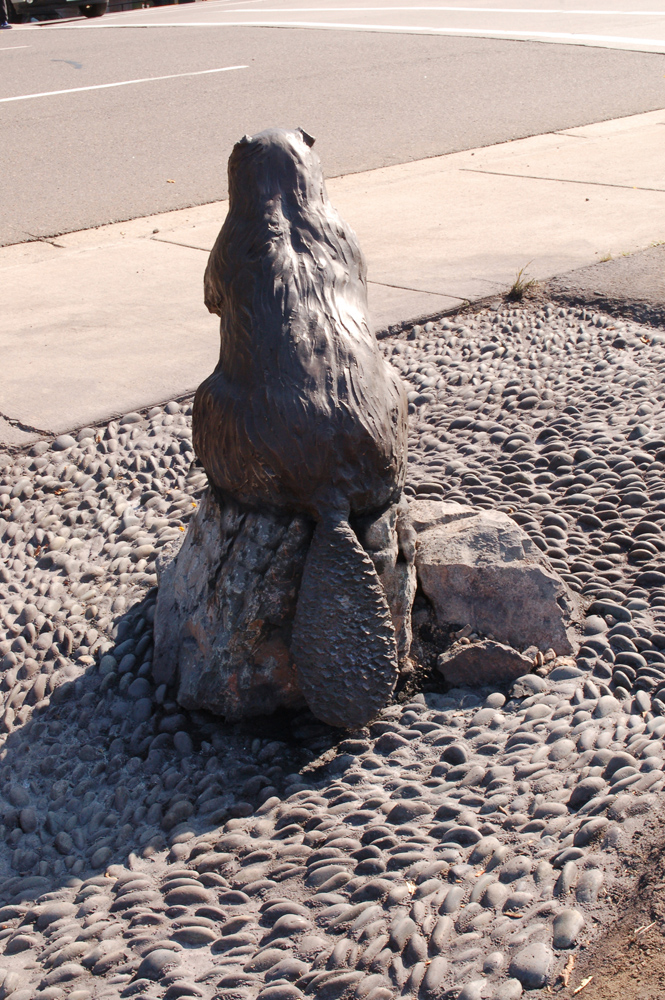 Estuary Plaza: Beaver, back detail