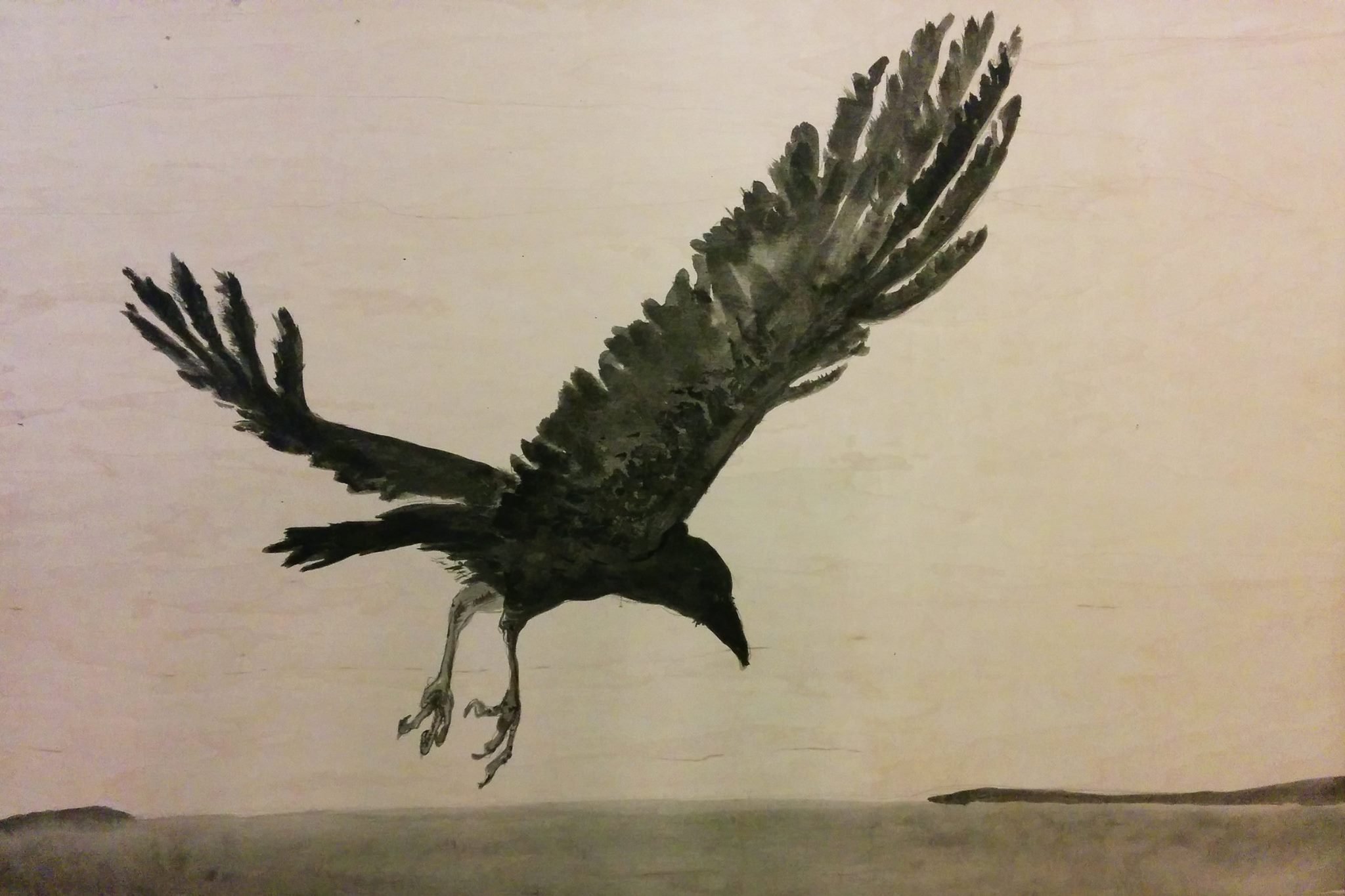 Crow over lake FB.jpg