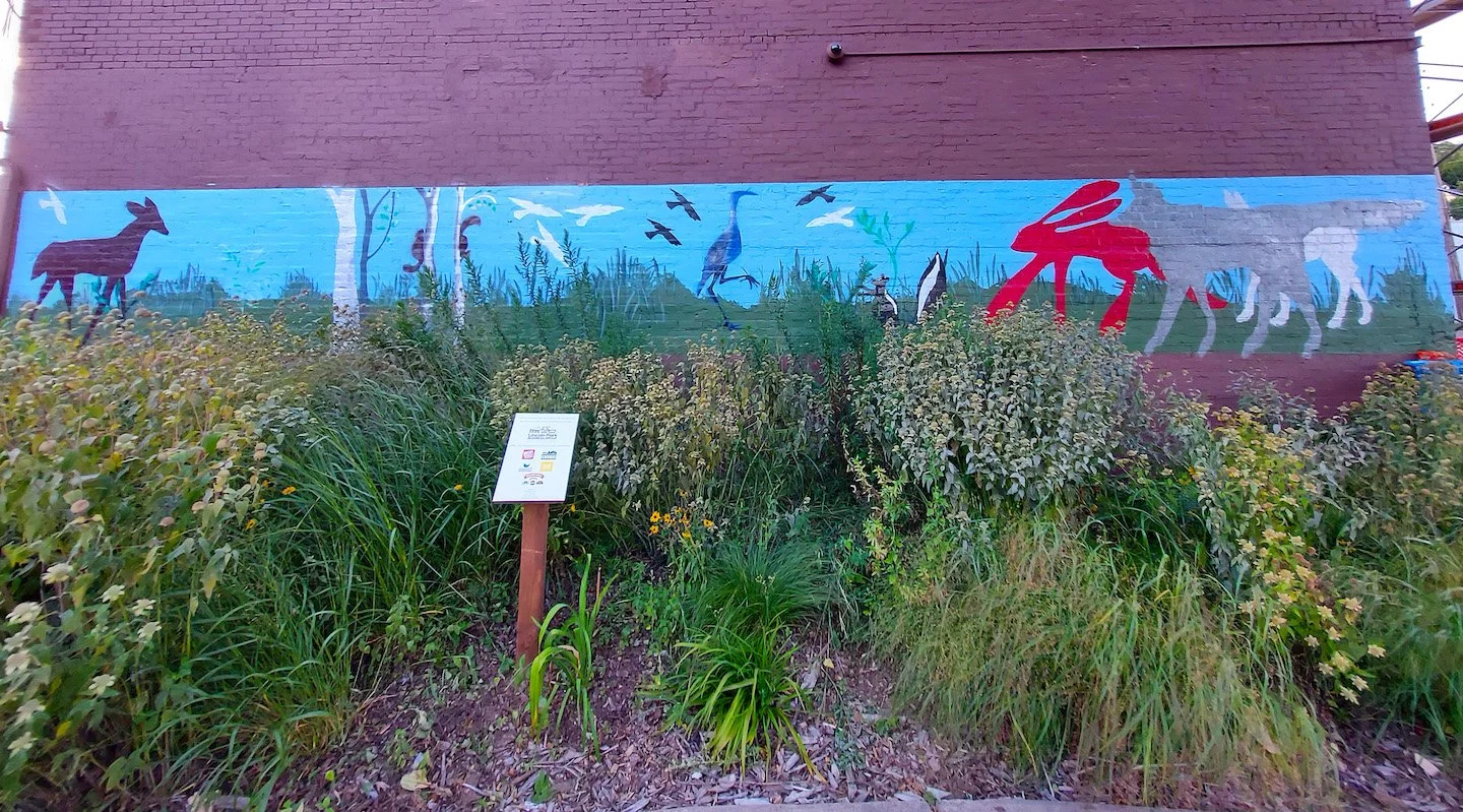 Big Bunny and the Animals