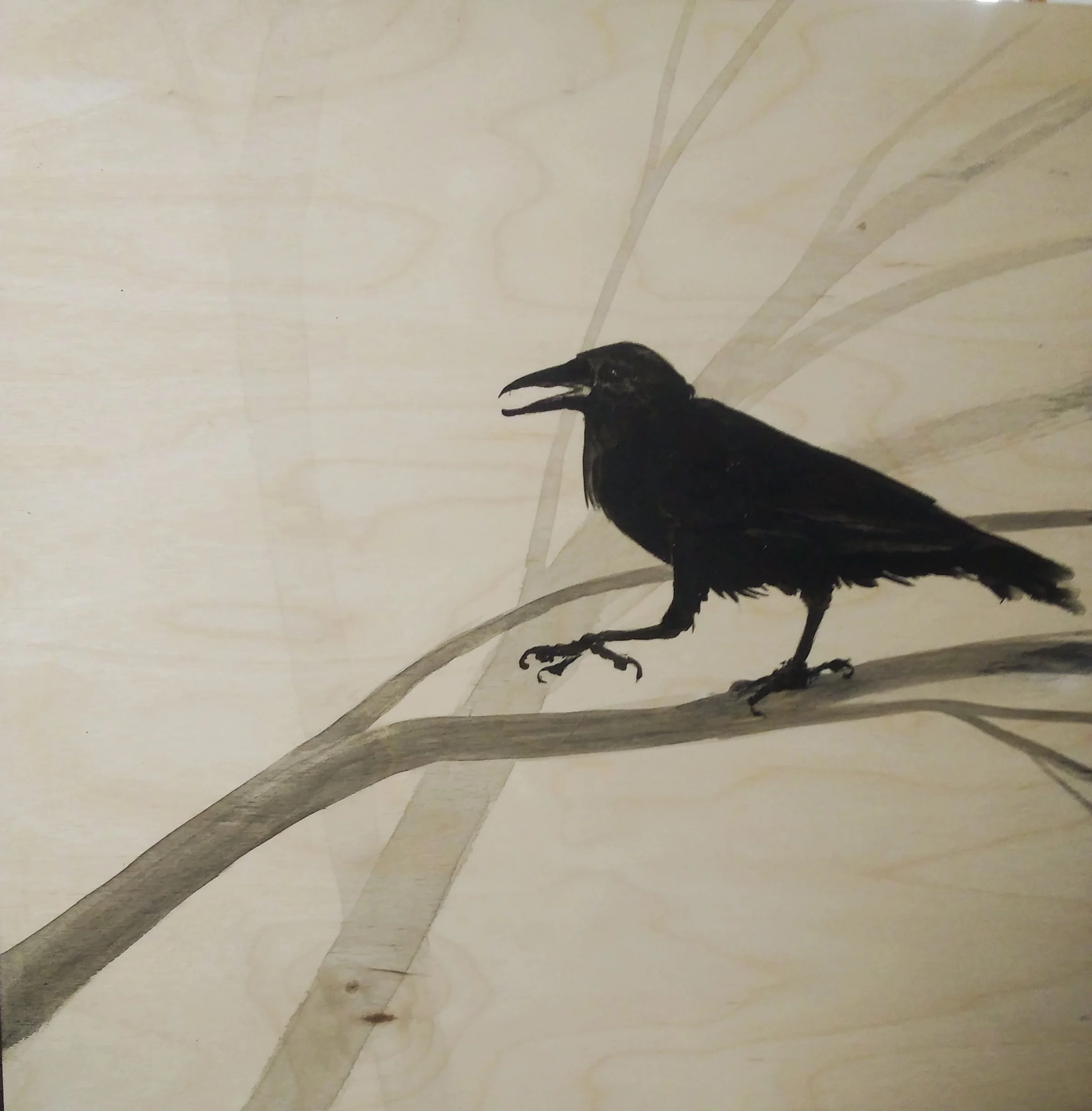 03Klefstad CrowFog.jpg