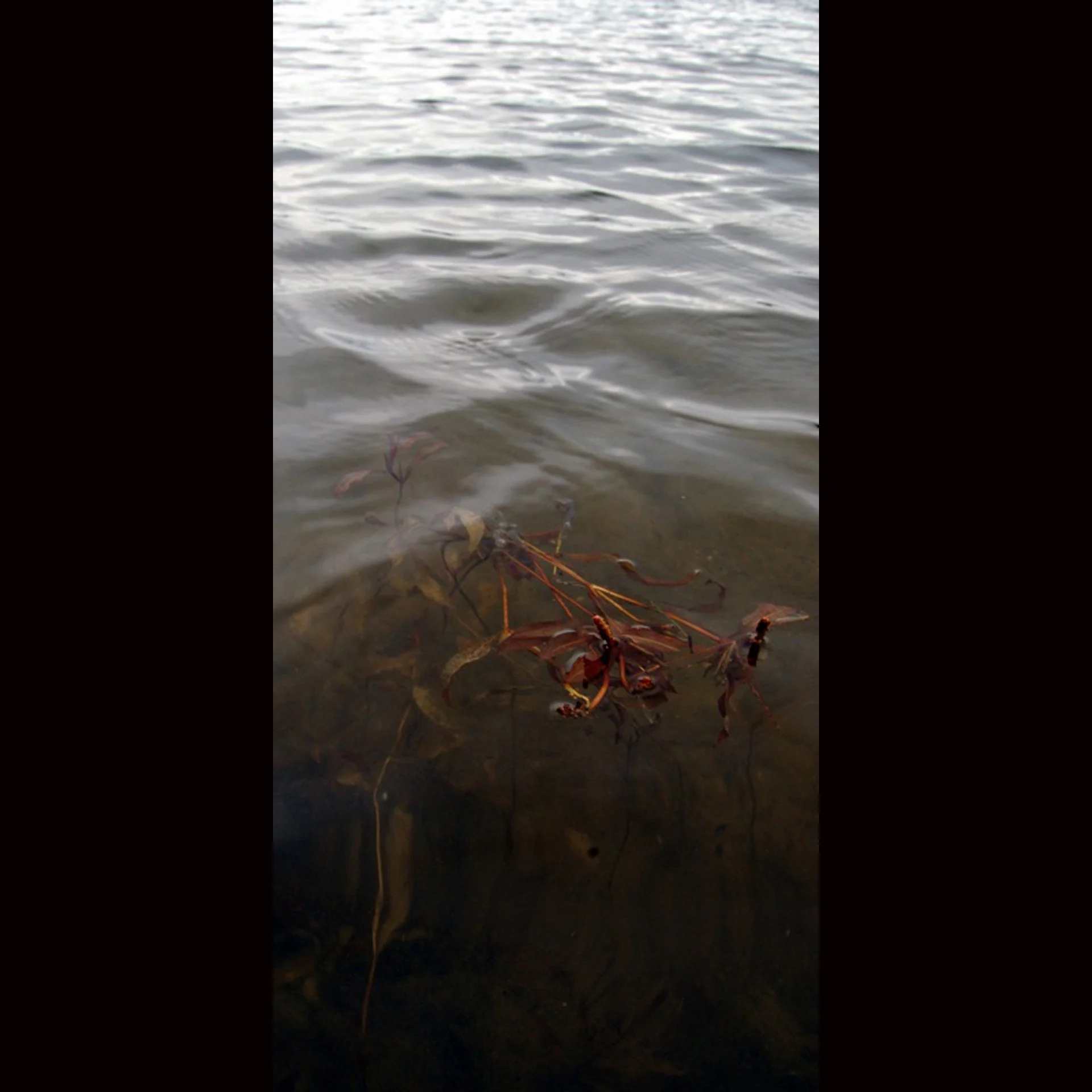 walkonwater 1 copy.jpg