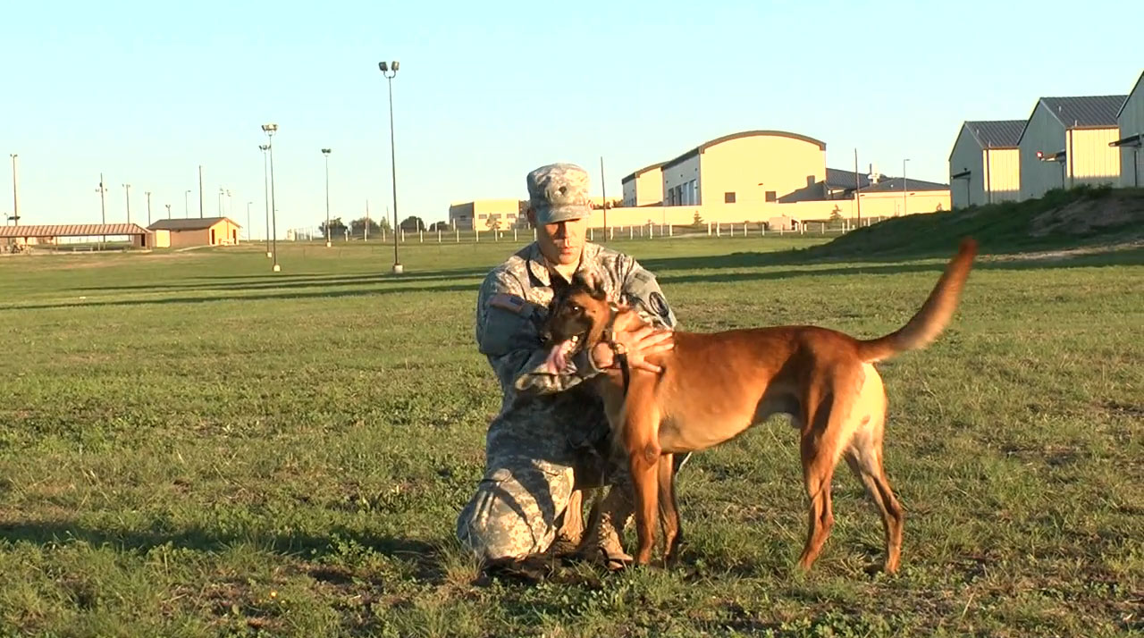 man-and-dog-medium.jpg