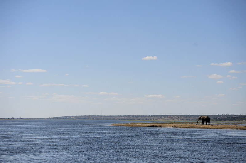 Chobe_CitizensoftheWorld_DominicLoneraganPhotography_MeghanMcTavish_TravelPhotography_300514_0965.jpg