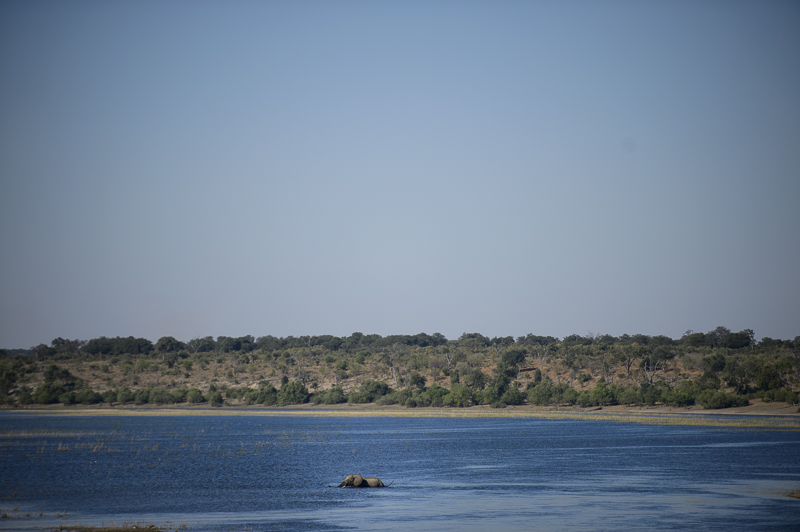 Chobe_CitizensoftheWorld_DominicLoneraganPhotography_MeghanMcTavish_TravelPhotography_310514_0562.jpg