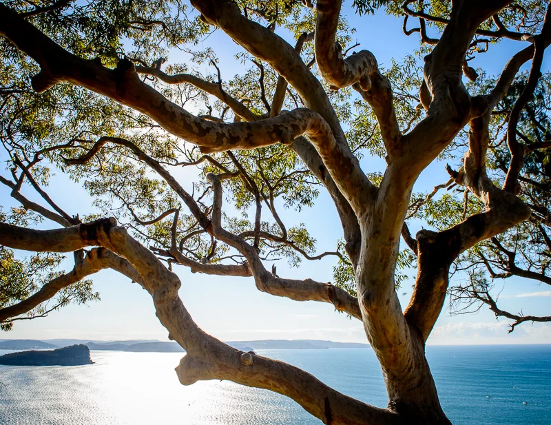 WestHead_PittWater_CitizensoftheWorld_DominicLoneraganPhotography_MeghanMcTavish_TravelPhotography_060615_0001.jpg