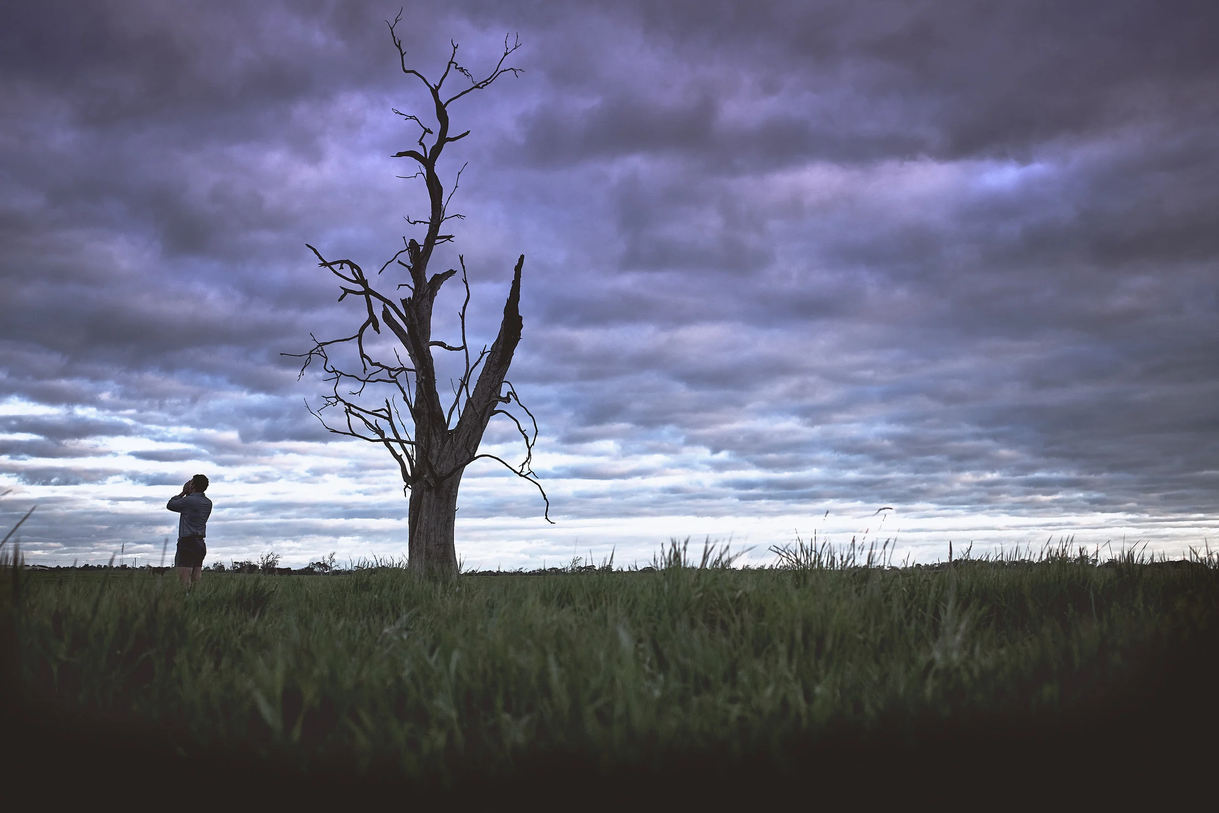 AustralianBeef_Barnbougle_TAS_Australia_CitizensoftheWorld_STILLS_261017_0012.jpg
