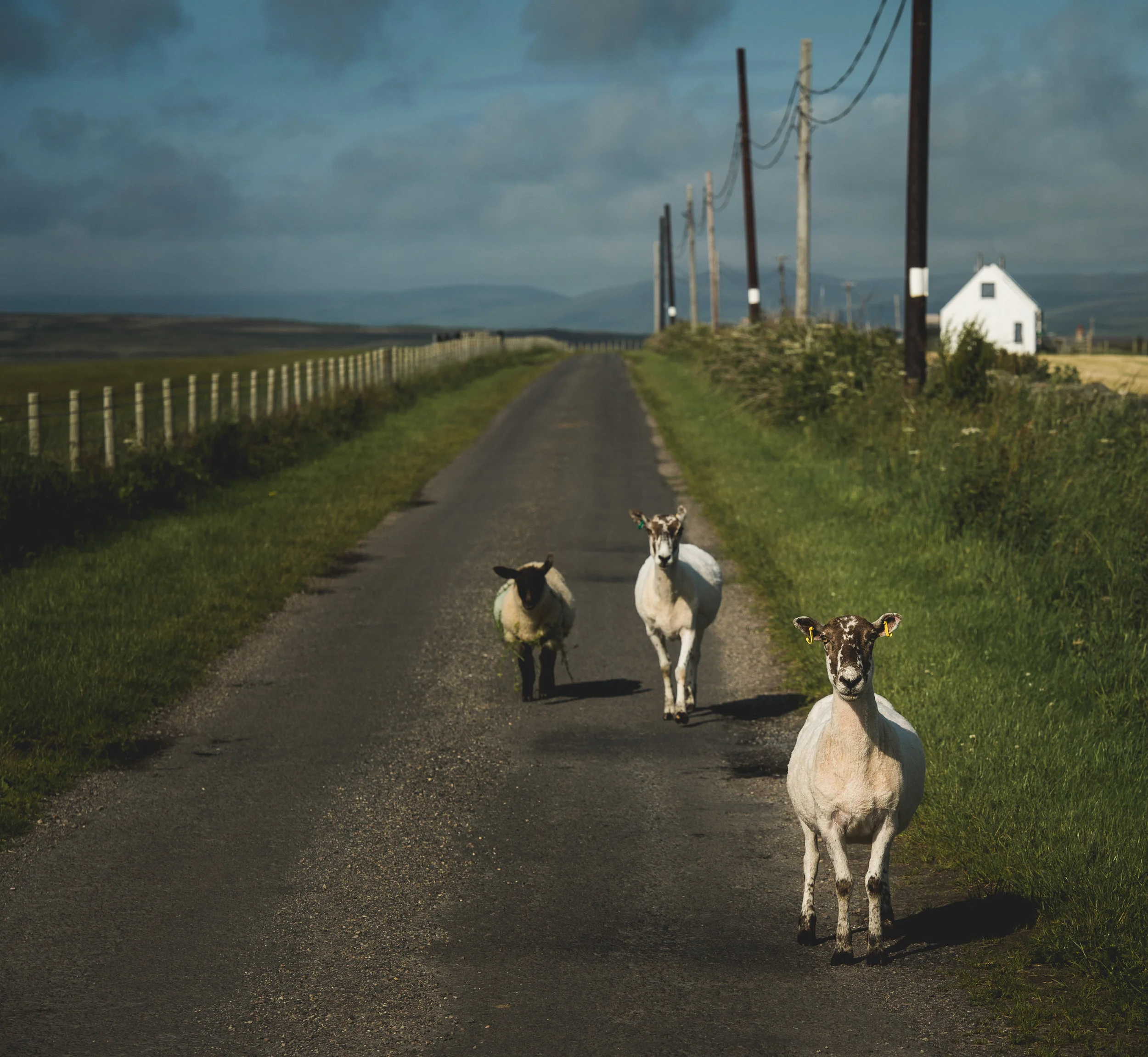 Scotland_Islay_CitizensoftheWorld_DominicLoneraganPhotography_MeghanMcTavish_TravelPhotography_130715_0720.jpg