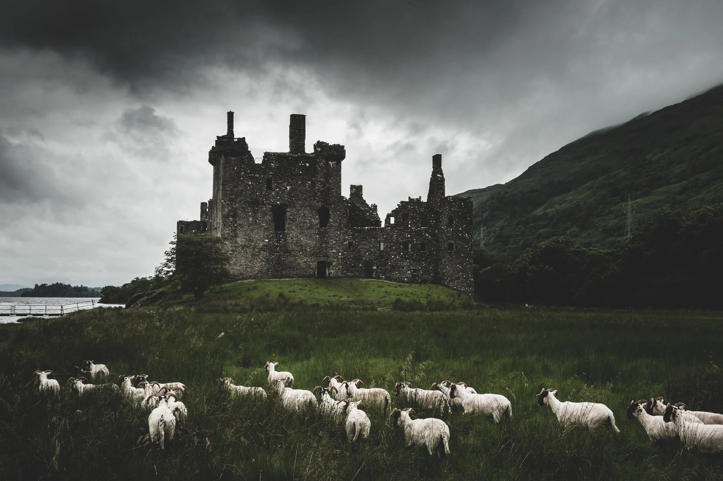 Scotland_KilchurnCastle&Kilmartin_CitizensoftheWorld_DominicLoneraganPhotography_MeghanMcTavish_TravelPhotography_110715_0366.jpg