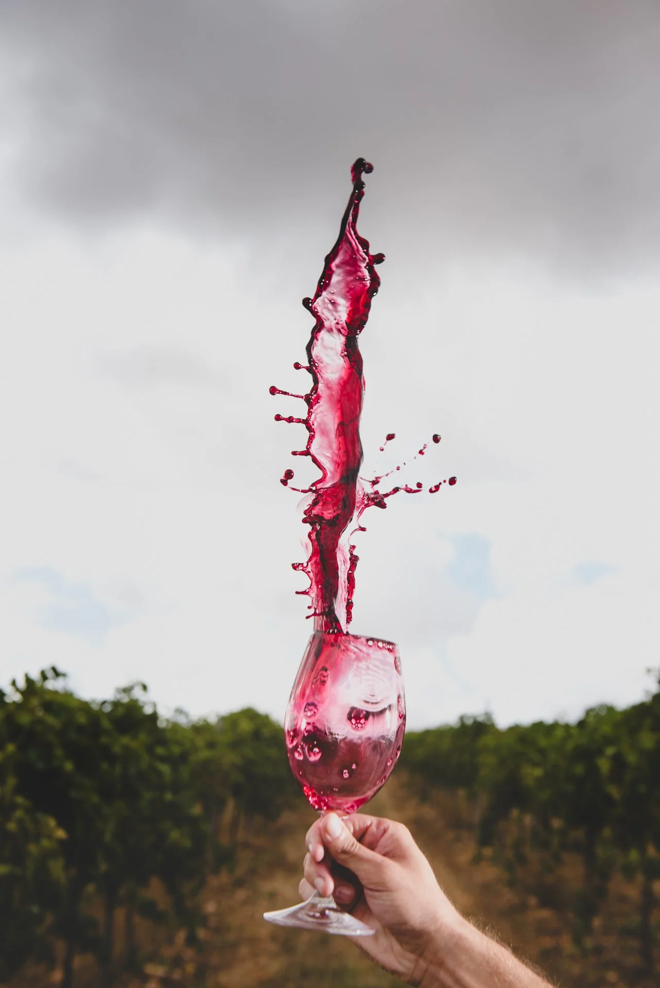 TaylorsWines_BrandImages_DLPhotography_300317_3347_LRG.jpg