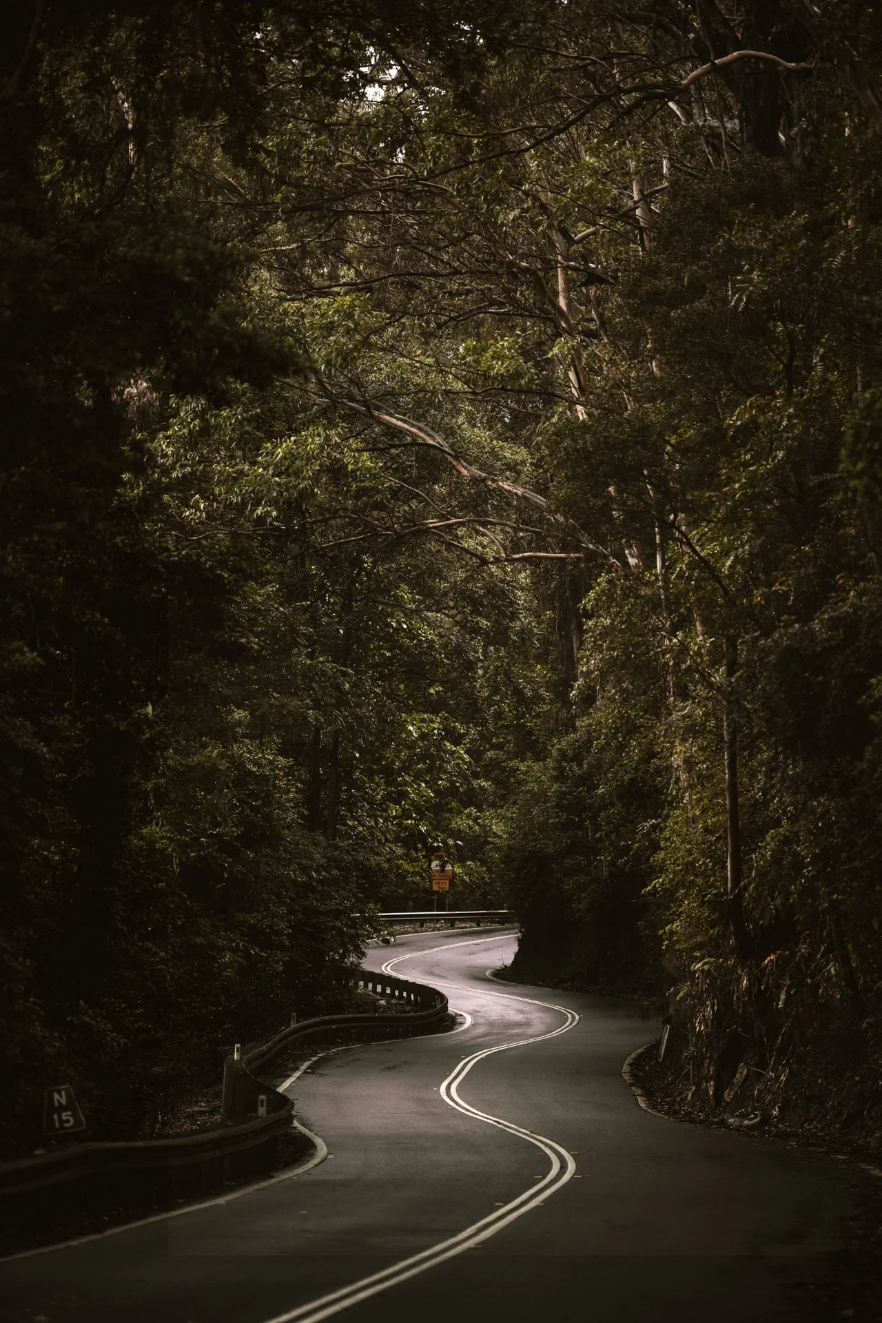 0114_CountryRoad_Unyoked_CitizensoftheWorld_DominicLoneraganPhotography__MeghanMcTavish_FashionPhotography_190319_0865_LRG_SML.jpg