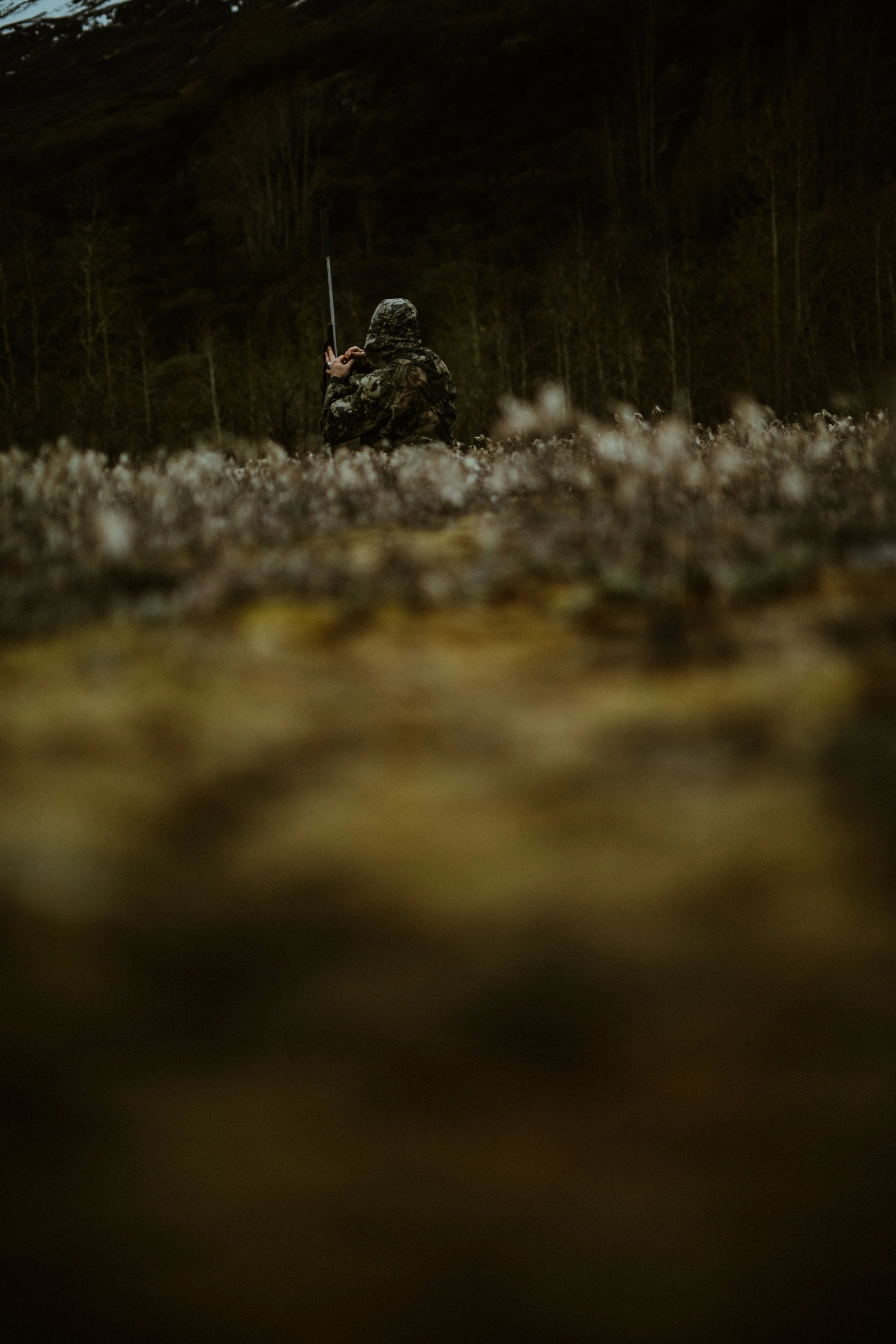 _OE_0237.jpg