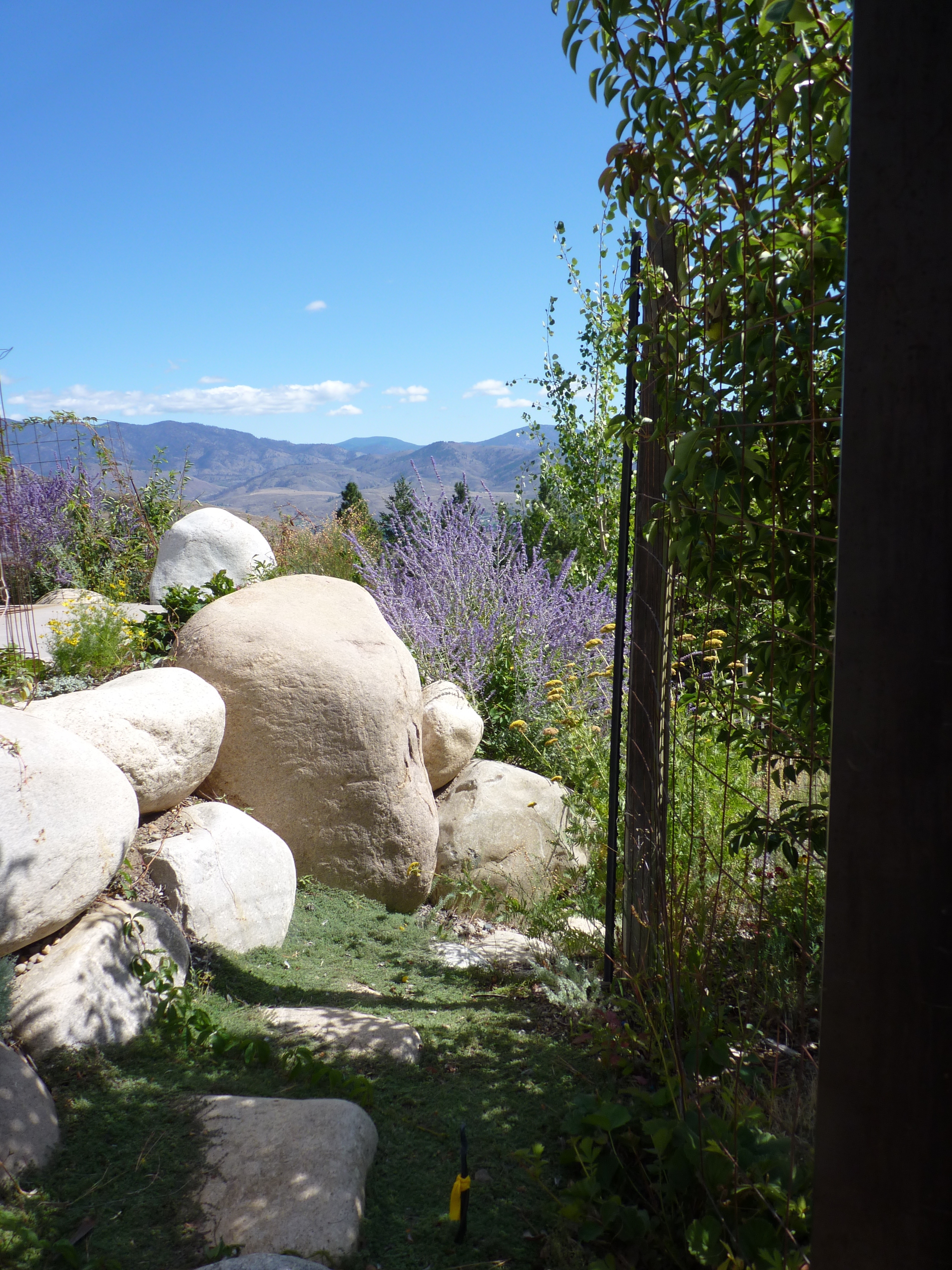 path with boulders nice garden view.JPG