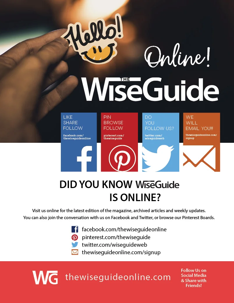 The Wise Guide - Print Ad