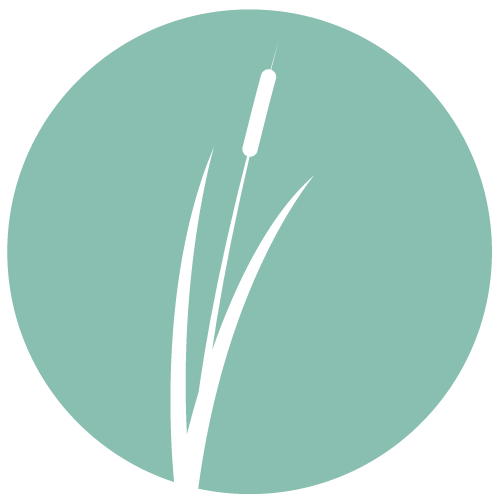 A-Creek-Side-Affair_Logo.png