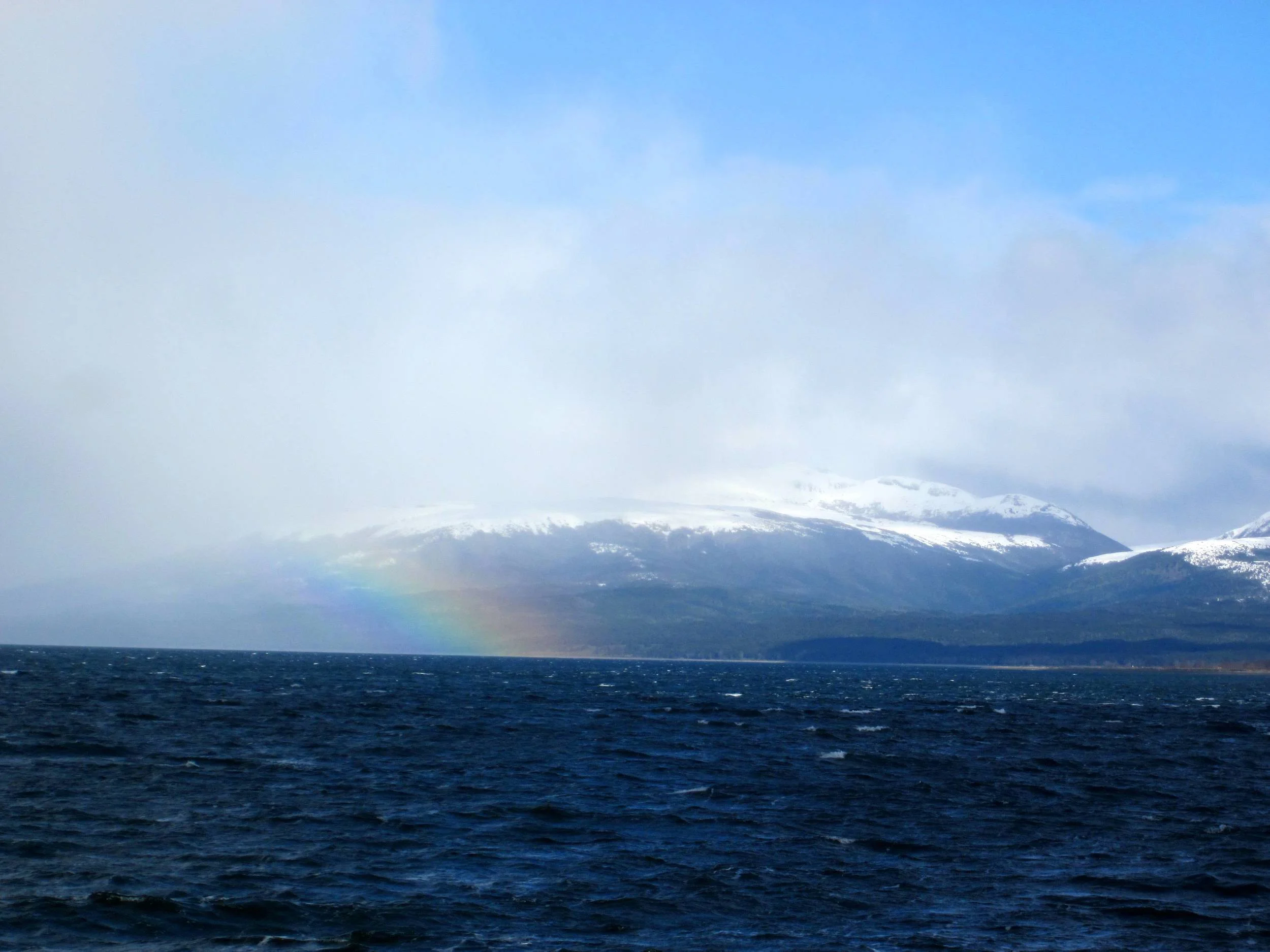 IMG_4654.jpg