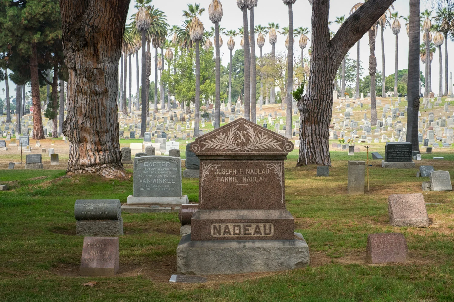 DSCF6035-Edit.jpg