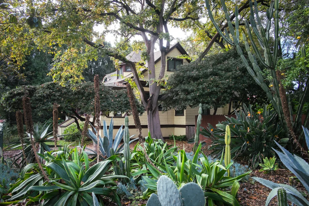 los-angeles-cacti-garden.jpg