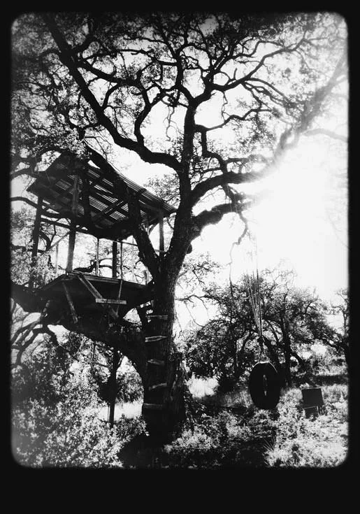 treehouse_1.jpg