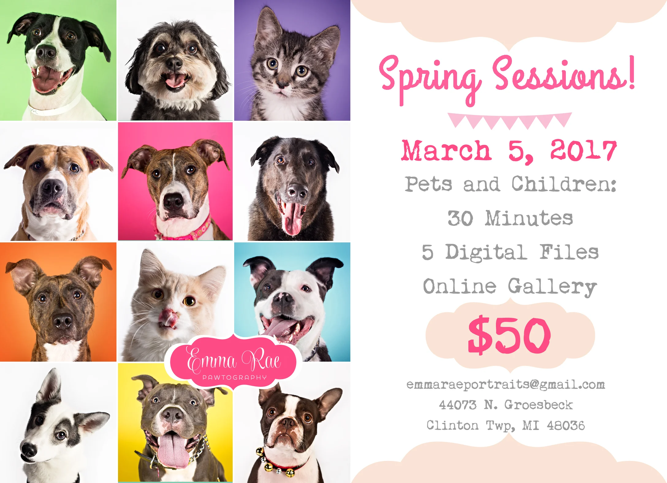 Now booking spring mini pet portrait sessions to benefit A ReJoyceful Animal Rescue! Only a couple time spots left, so book now if you want in! I will have a guest vendor with me: Pawsitively Loved. She sells handmade bandanas, coats, blankets, cat toys, and more, and she, too, will be donating a portion of the proceeds to the rescue! I will be announcing another spring portrait fundraiser to benefit Tigerlily Cat Rescue in the coming weeks ~ this second event will be open to pets only.