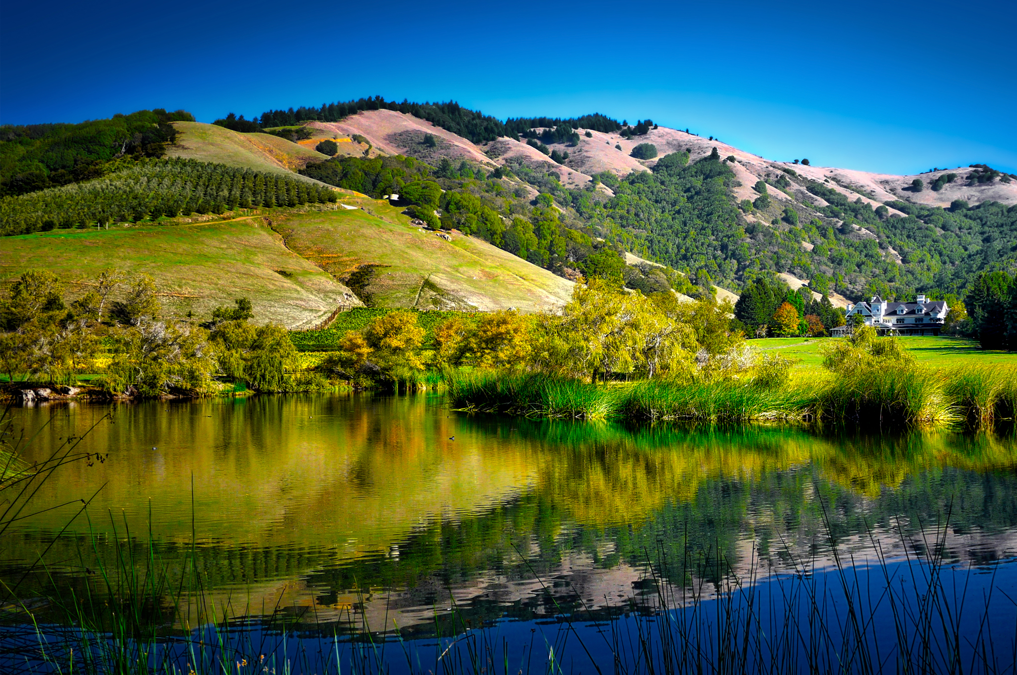 Skywalker Ranch - Nicasio, Marin County