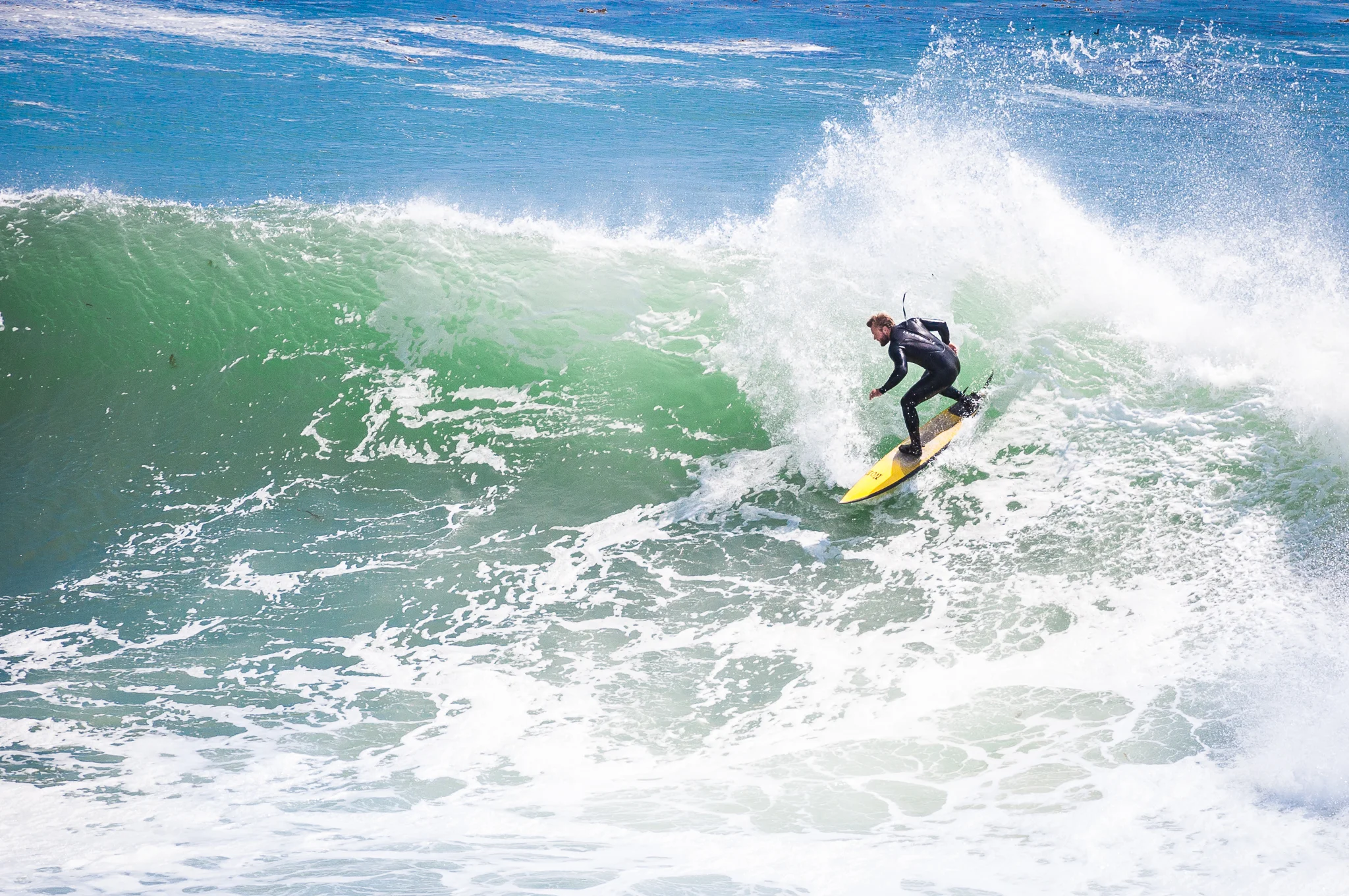 // Santa Cruz, CA (Copy)