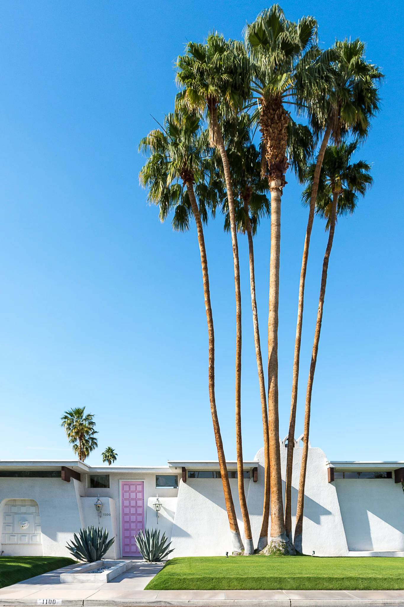 That Door // Palm Springs, CA (Copy)