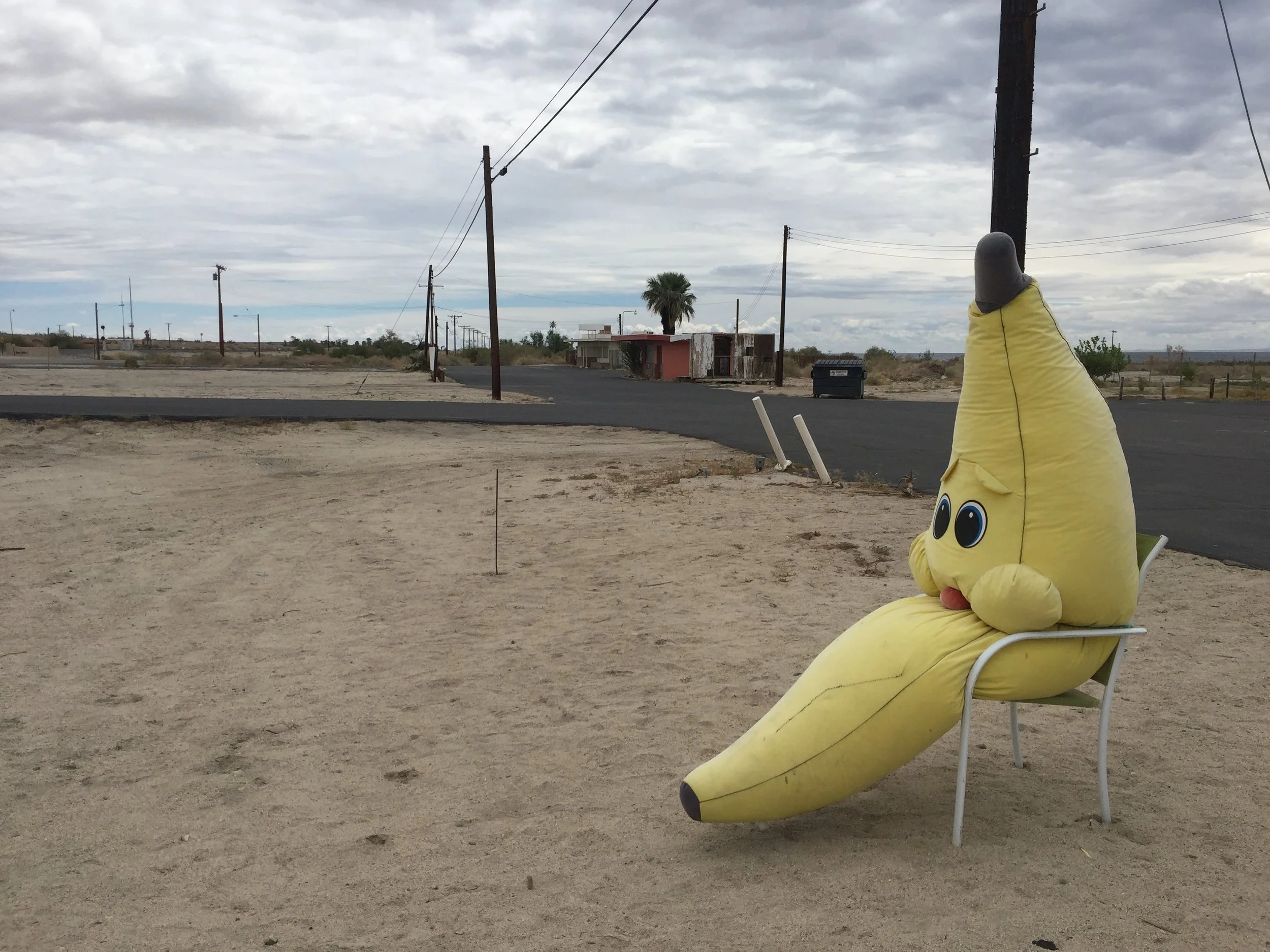 2016-04-10 12.19.41.jpg